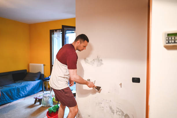 Best Local Mold Removal Service  in Ladson, SC