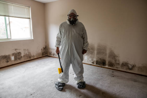 Best Residential Mold Removal  in Ladson, SC